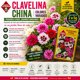 thumbnail image 4 of Semillas Clavelina China Las Encinas Colores Variados, 4 of 4