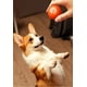 thumbnail image 2 of Juguete Interactivo Para Perros Y Gatos Pelota Giratoria Usb, 2 of 4