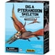 thumbnail image 1 of Kidzlabs Excava Dinosaurio Pteranodon, 1 of 2