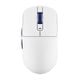thumbnail image 1 of Mouse Royal Kludge RKM30 12000 Dpi 41g Wireless white blue, 1 of 3
