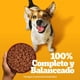 thumbnail image 2 of Alimento Húmedo Perro Adulto Raza Pequeña Sabor Carne Pouch, 100 g, 2 of 9
