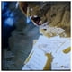 thumbnail image 2 of Pineapple Thief - Someone Here Is Missing | Vinilo, 2 of 2