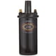 thumbnail image 1 of Bobina de encendido PerTronix Flame-Thrower 40.000 V 3.0 ohm negra, 1 of 4