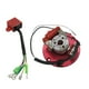 thumbnail image 2 of Kit De Estator De Rotor Interno De Bobina De Magneto De Rendimiento Motor Horizontal 50cc-125cc, 2 of 3
