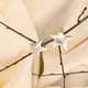 thumbnail image 1 of Aros Guadalupe estrella de plata, 1 of 4