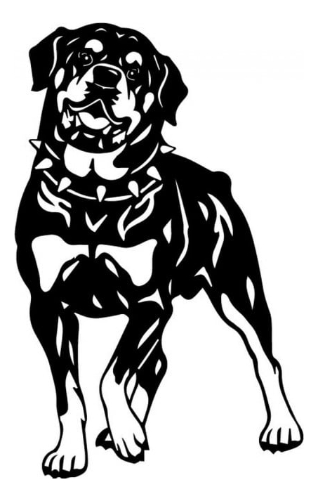 Rienda Libre Graphics - Decomural Rottweiler Pets Dogs Ws-32624