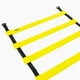 thumbnail image 1 of Escalera De Agilidad, 1 of 4