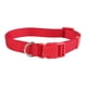 thumbnail image 1 of Collar Mascotas Nylon Color Solido Gato Perro 40/55cm, 1 of 2