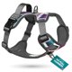thumbnail image 1 of Arnés Reflectante Ajustable Embark Pets para Perro, 1 of 8