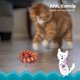 thumbnail image 3 of Plaque Away Pretzel Interactive Orange para gatos Catstages, 3 of 9