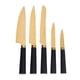 thumbnail image 2 of Set 6 Pzs Titan Gold Bloque Magnético, 2 of 3