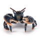 thumbnail image 3 of La figurita Papo Lobster estimula la imaginación y ayuda al aprendizaje, 3 of 7