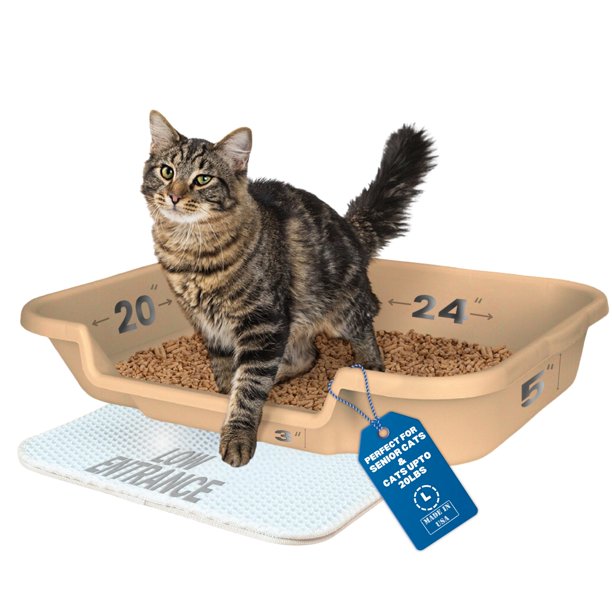 Caja de arena para gatos KittyGoHere para personas mayores, playa, arena, entrada baja