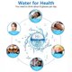 thumbnail image 5 of Generador de botellas de agua de hidrógeno Amavheaf con SPE/PEM Tech, paquete de 2, 5 of 9