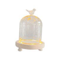 Bothyi - Vidrio Cloche Dome Party Diy Micro Landscape Holder Clear Bell Jar 9X11Cm Bird