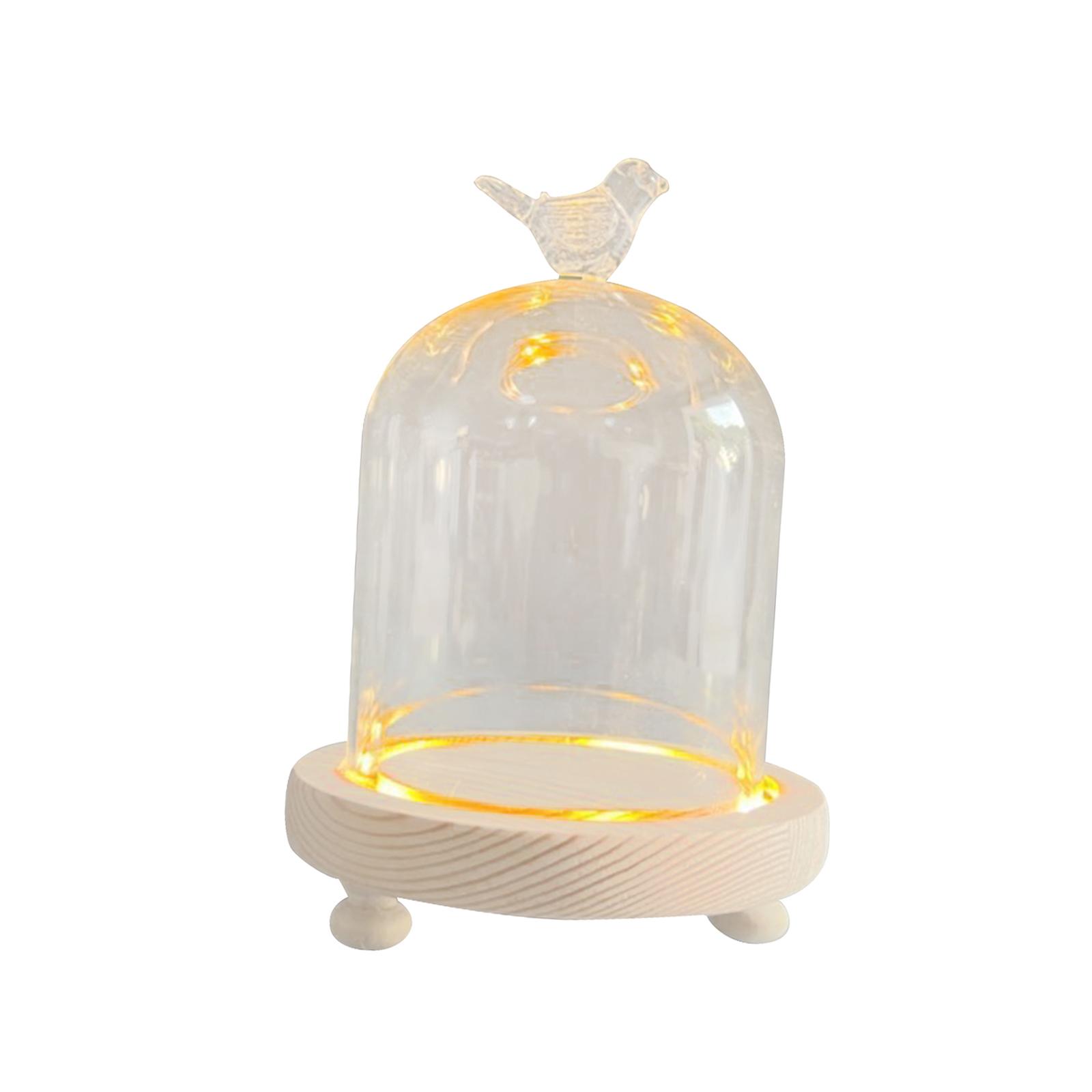 Bothyi - Vidrio Cloche Dome Party Diy Micro Landscape Holder Clear Bell Jar 9X11Cm Bird