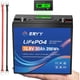 thumbnail image 1 of Batería LiFePO4 12V 20Ah ERYY 30A BMS LCD Ciclo Profundo, 1 of 3