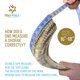 thumbnail image 3 of Cuerno de Shofar HOLY VOICE 41-46 cm Semi Pulido Israel, 3 of 8