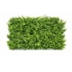 thumbnail image 5 of Jardín Muro Vertical Artificial F Palmeta Plantas 60x40 Cm, 5 of 7