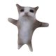 thumbnail image 1 of Adornos Realistas Para Sofá De Animales De Peluche De Gato Para Niños, Niñas, Adolescentes, Gatos, 30cm, 1 of 3