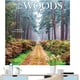 thumbnail image 1 of Calendario de pared con paisajes 2024 - En el bosque | Calendario de pared mensual colgante de 29,5 x 29,5 cm. Calendario de pared mensual "En el bosque"., 1 of 7