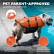 thumbnail image 5 of Chaleco salvavidas para perros Outward Hound Granby Splash naranja pequeño, 5 of 9