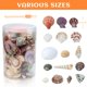 thumbnail image 2 of Sea Shells WEOXPR, 200 unidades, playa mixta, océano, para manualidades y niños, 2 of 6