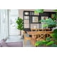 thumbnail image 5 of Planta Artificial Ficus Lirata 180 cm / 254 hojas Verde, 5 of 10