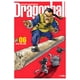 thumbnail image 1 of Manga Dragon Ball Kanzenban 06 Ivrea Argentina, 1 of 2