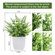 thumbnail image 2 of Plantas artificiales 4 uds maceta bonsai, 2 of 3
