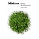thumbnail image 1 of Nieve De Primavera El Mar De La Fertilidad 1, 1 of 4