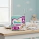 thumbnail image 2 of Pañales Pampers Premium Care G 16 Uds, 2 of 2