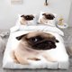 thumbnail image 1 of Pug Dog Theme Bedding Set Soft and Comfortable for All Seasons, 1 of 5