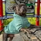 thumbnail image 3 of Sudadera con capucha para perro Spark Paws Buttery‑Soft, 3 of 5