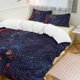 thumbnail image 1 of Oil Painting Style 3-Piece Twin Bed Set - Includes 1 Single Comforter And 2 Pillowcases Bedding - Fade Resistant Microfiber - Oil Painting Style, 1 of 4