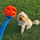thumbnail image 5 of Juguete para perros Chuckit! Pelota Air Fetch, tamaño mediano, para perros de 9 a 27 kg, 5 of 8