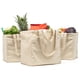 thumbnail image 1 of Bolsas De Lona Para Supermercado 3 Unidades Con Bolsillos Y Correas Para Los Hombros, 1 of 6
