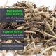 thumbnail image 3 of Té BACH TRA Snowshan Blanco en Hoja Suelta 100 g – Vietnam, 3 of 9