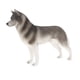 thumbnail image 3 of Simulación Animal Salvaje Modelo Figura Juguetes Estatuilla Decoración Para El Hogar Husky Grey, 3 of 5