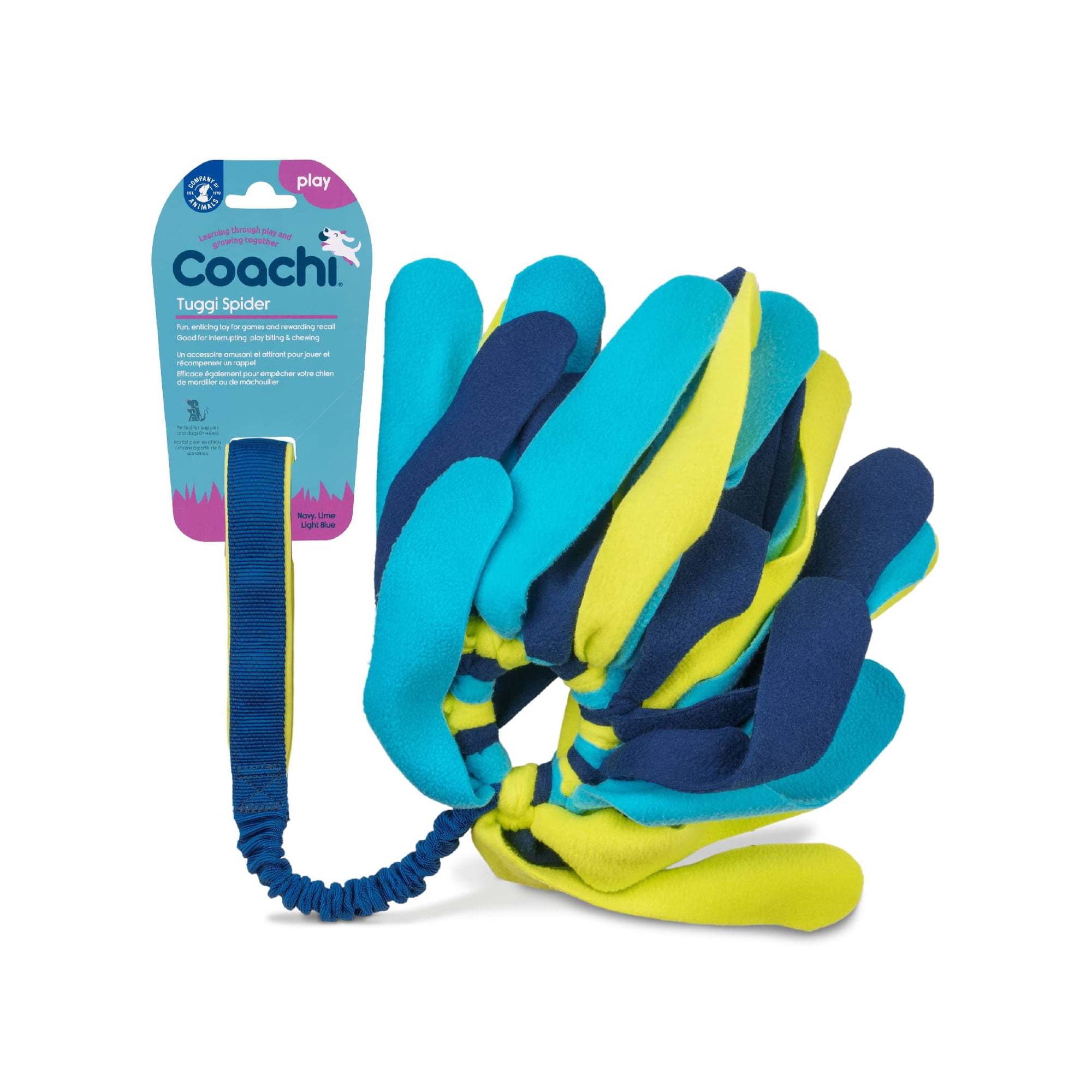Juguete Interactivo Para Perros Coachi Tuggi Spider Para Tira Y Afloja