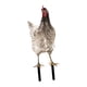 thumbnail image 4 of Gallo, Estaca Para Jardín, Adorno De Gallina Para Césped, Regalo Para Fiestas, Decoración De Jardín Con Gallinas, 4 of 5