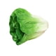 thumbnail image 3 of Vegetal Artificial Realista De Poliuretano Artificial Para Decorar La Sala De Estar, Lechuga Navide?a., 3 of 5