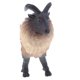 thumbnail image 4 of simulación animal salvaje figura figura juguetes figurita decoración del hogar himalayan tahr, 4 of 5