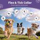 thumbnail image 3 of Collar antipulgas y garrapatas Wiiks&Wooks 5 unidades impermeable y ajustable, 3 of 9