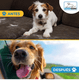 thumbnail image 2 of Lona Impermeable Protectora para Auto y Mascotas, 2 of 3