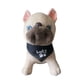 thumbnail image 1 of Peluche De Perro Buldog Grande Tierno Suave Y Divertido, 1 of 2