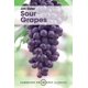 thumbnail image 1 of Libro Cambridge University Press Sour Grapes: Studies, 1 of 1