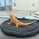 thumbnail image 2 of Cama de dragón barbuda esterilla suave con copa de succión Cojín de sueño de dragón barbuda lavable para viajes Accesorios de tanque de reptiles Pequeño portador de animales para lagartos Le, 2 of 3