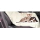 thumbnail image 2 of Lona Funda Protectora Cubre Asiento Delante Auto Para Perros, 2 of 2