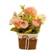 thumbnail image 5 of Arreglo Floral De Flores Artificiales En Maceta Para Sala De Estar De Escritorio Rosa, 5 of 5